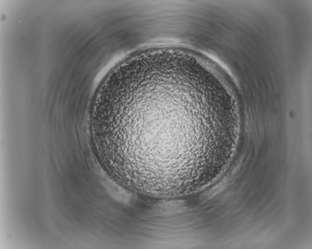 X0000070401325200606161335