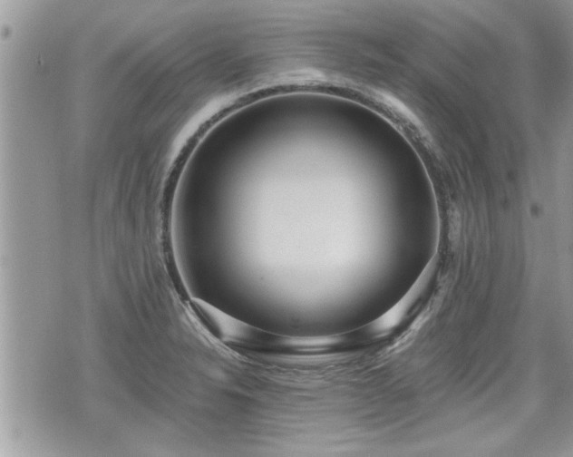 X0000070401326200606161335