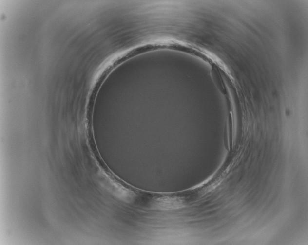 X0000070401327200606161335