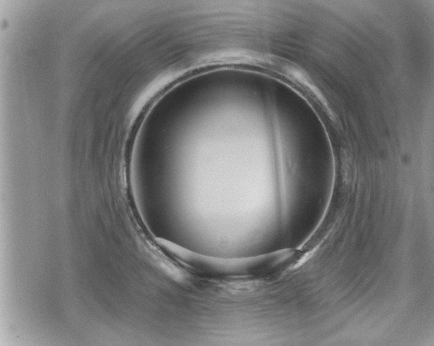 X0000070401328200606161335