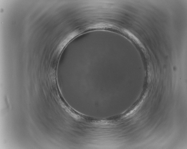 X0000070401329200606161335