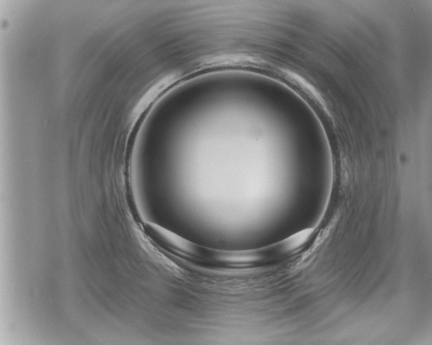 X0000070401330200606161335