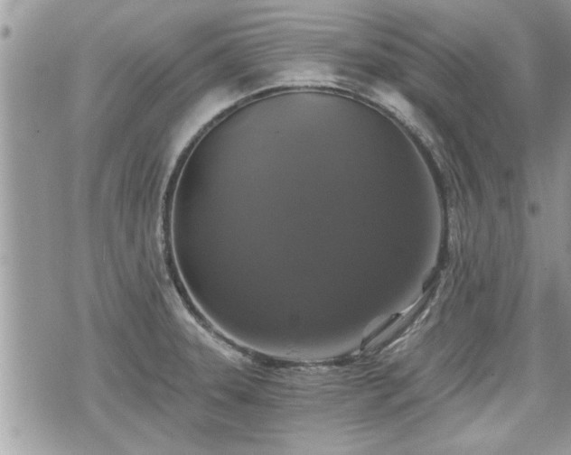 X0000070401331200606161335