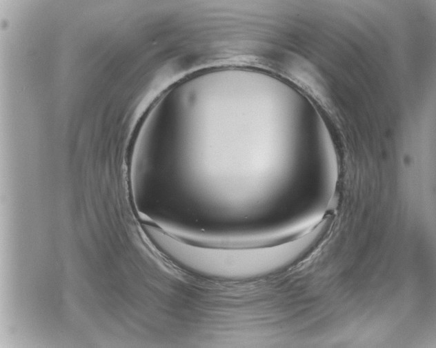 X0000070401332200606161336