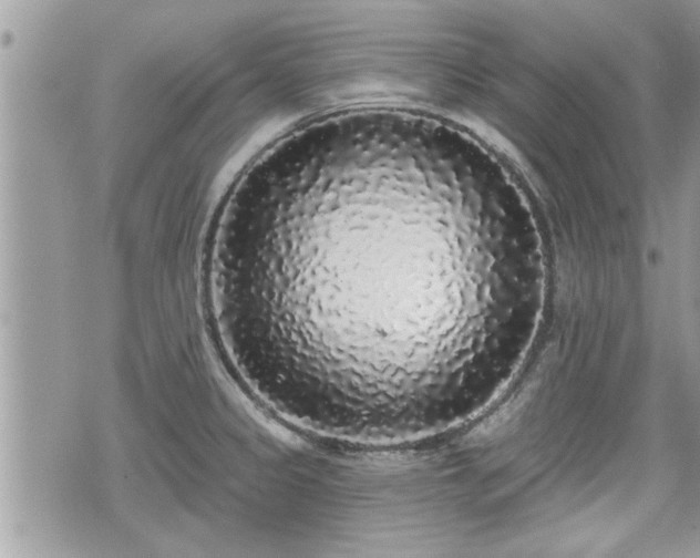 X0000070401333200606161336