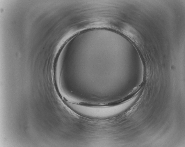 X0000070401334200606161336