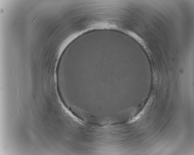 X0000070401335200606161336