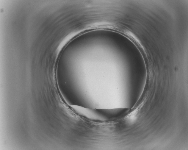 X0000070401336200606161336