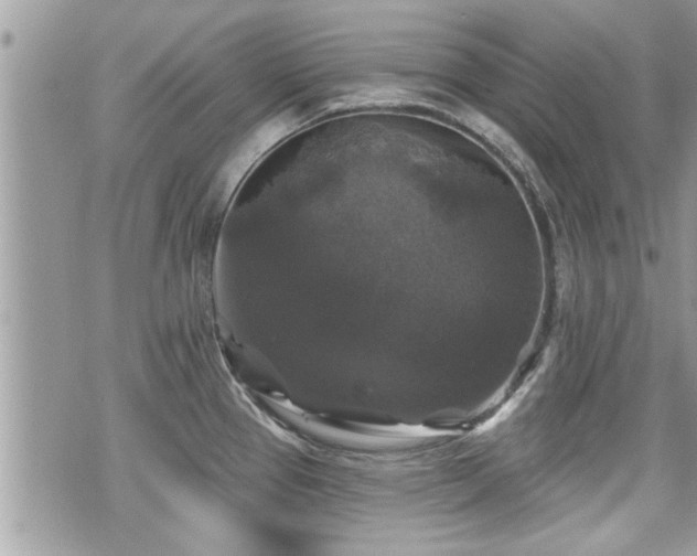 X0000070401337200606161336