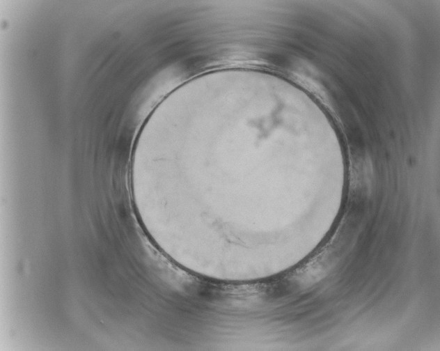 X0000070401338200606161336