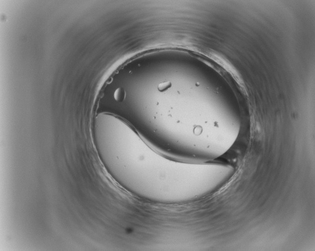 X0000070401340200606161336