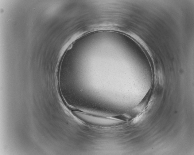 X0000070401341200606161336