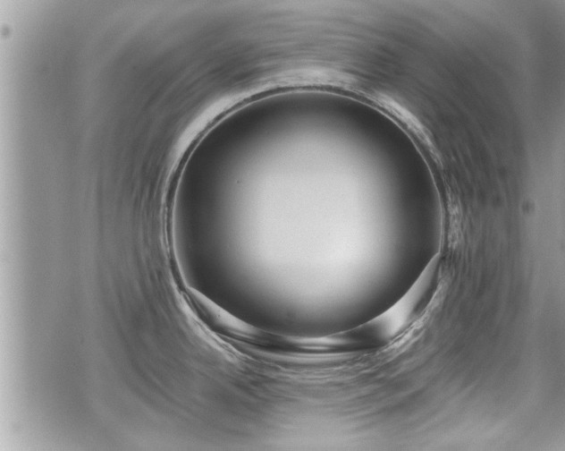 X0000070401342200606161336