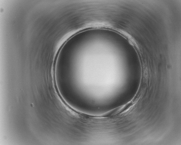 X0000070401343200606161336