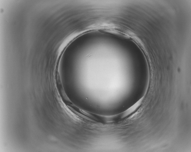 X0000070401344200606161336