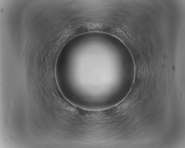 X0000070401345200606161335