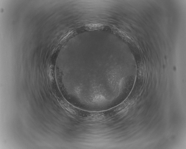 X0000070401346200606161335