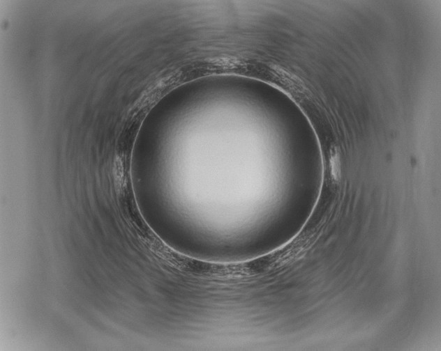 X0000070401347200606161335