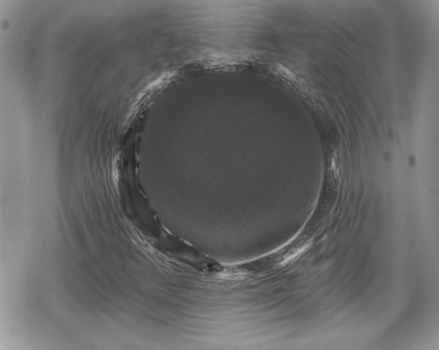 X0000070401348200606161335