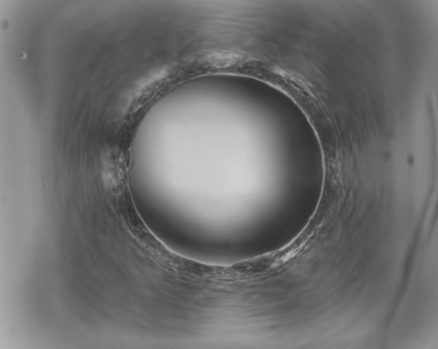 X0000070401349200606161335