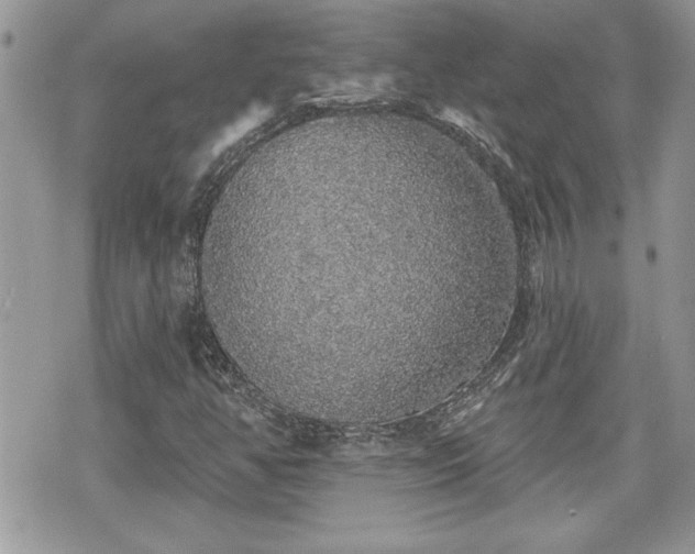 X0000070401350200606161335