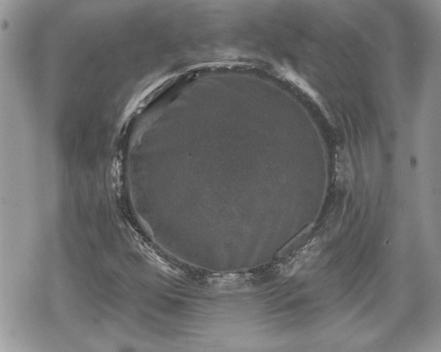 X0000070401352200606161335