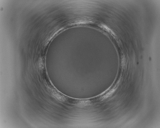 X0000070401353200606161335