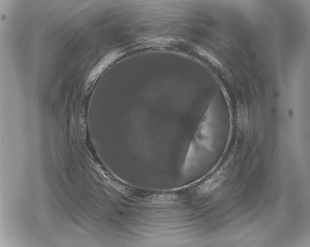 X0000070401354200606161335