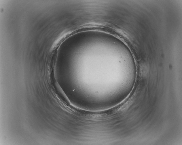 X0000070401355200606161335