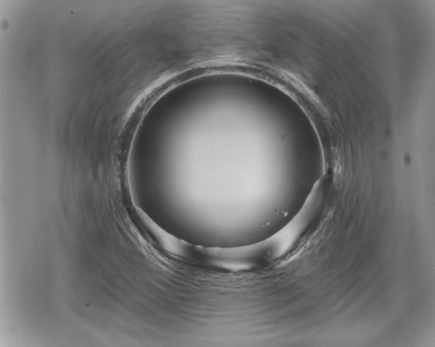 X0000070401356200606161335