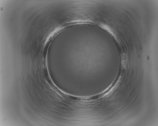 X0000070401357200606161335