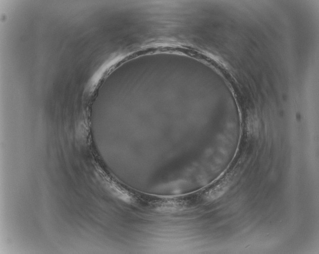 X0000070401359200606161335