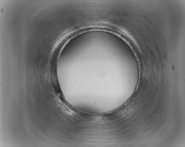 X0000070401360200606161335