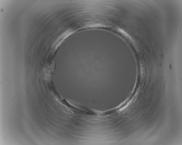 X0000070401361200606161335