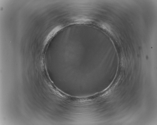 X0000070401362200606161335