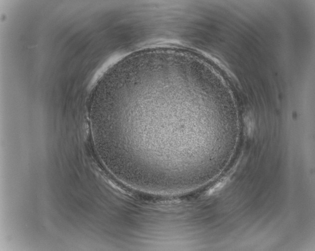 X0000070401363200606161335