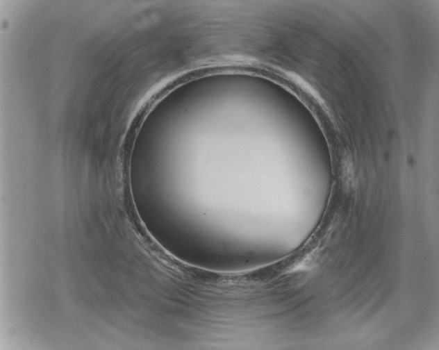 X0000070401364200606161335