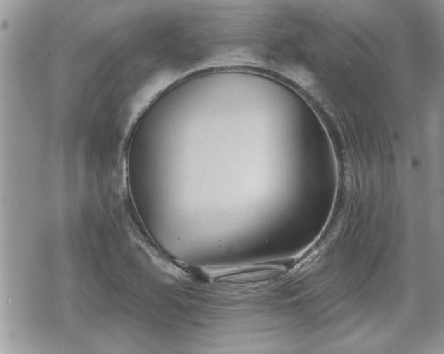 X0000070401366200606161334