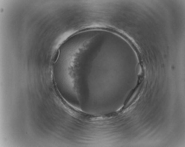 X0000070401367200606161334