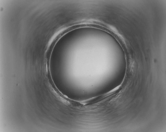 X0000070401368200606161334