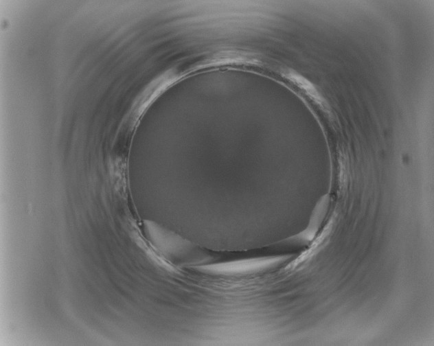 X0000070401369200606161334