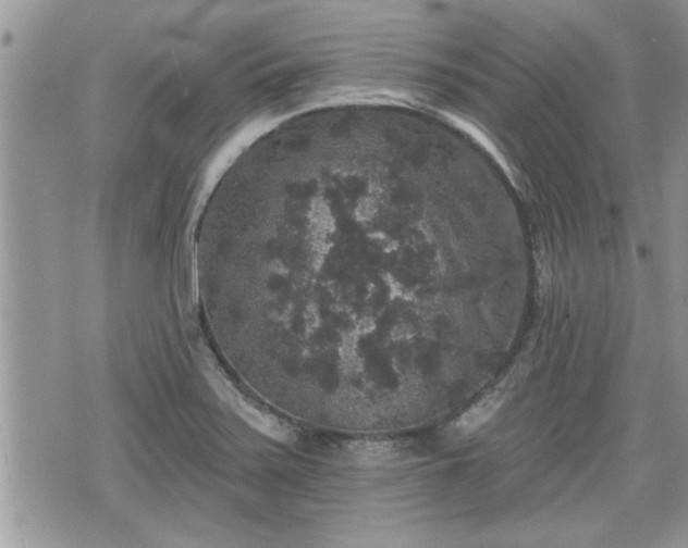 X0000070401371200606161334