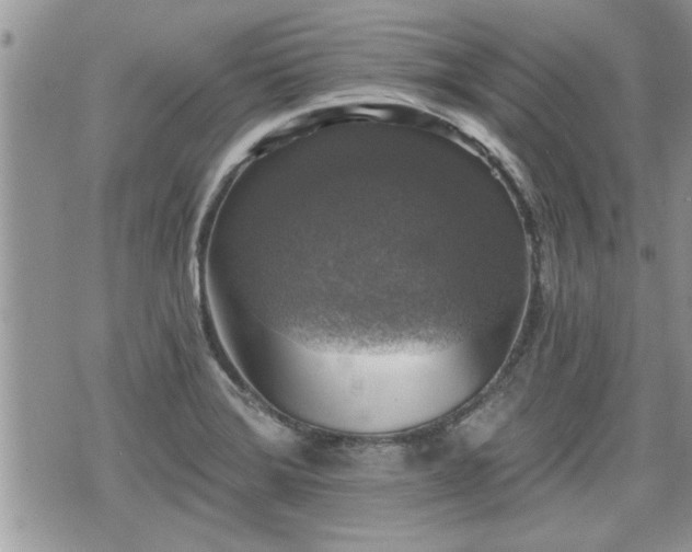 X0000070401372200606161334