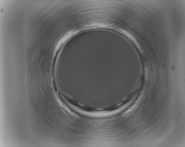 X0000070401373200606161334