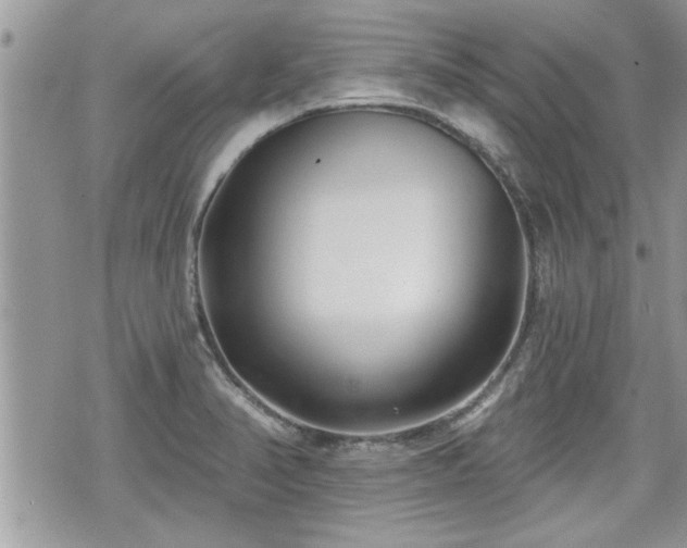 X0000070401374200606161334