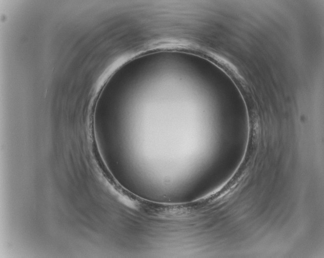 X0000070401375200606161334