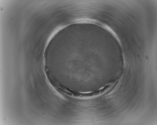 X0000070401376200606161334