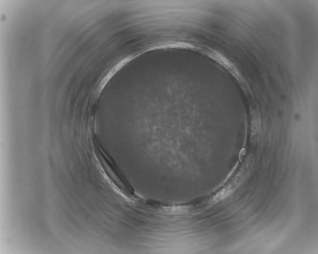 X0000070401377200606161334