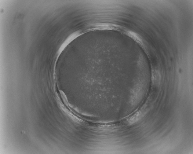 X0000070401378200606161334