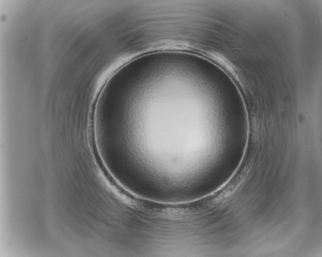 X0000070401379200606161334